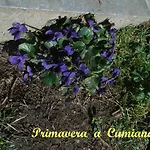 U Tej Bed and Breakfast Cumiana