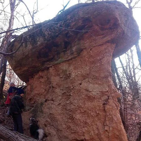 Bed & Breakfast U Tej