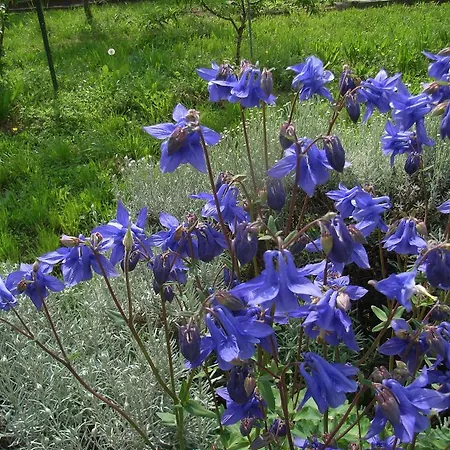 U Tej Bed & Breakfast 3*