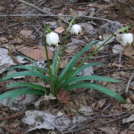 U Tej Bed & Breakfast