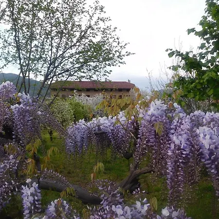 Bed & Breakfast U Tej Cumiana