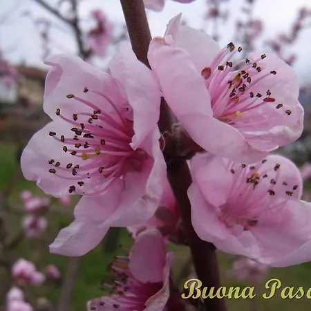 U Tej Bed & Breakfast