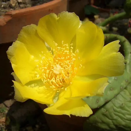 Bed & Breakfast U Tej