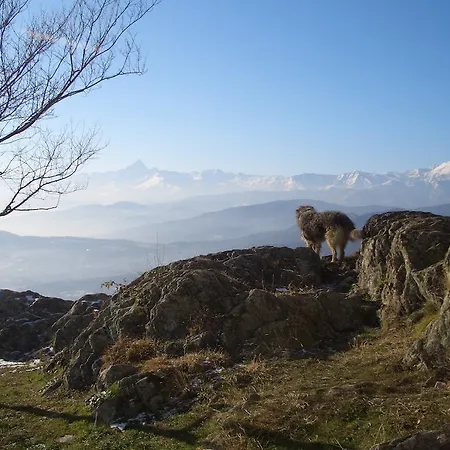 Bed & Breakfast U Tej Cumiana