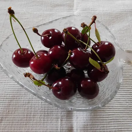 Panzió U Tej Cumiana