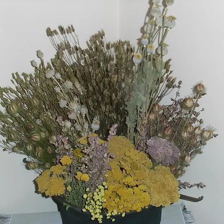 U Tej Bed & Breakfast Cumiana