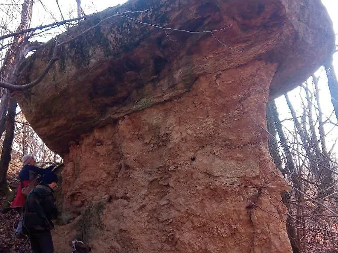 Oda ve Kahvaltı U Tej