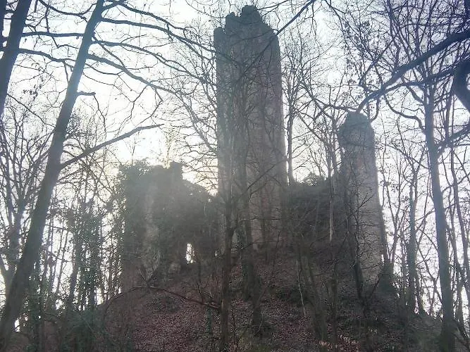 Oda ve Kahvaltı U Tej Cumiana