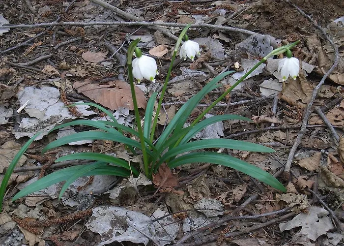U Tej 住宿加早餐酒店
