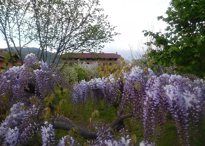 Oda ve Kahvaltı U Tej Cumiana