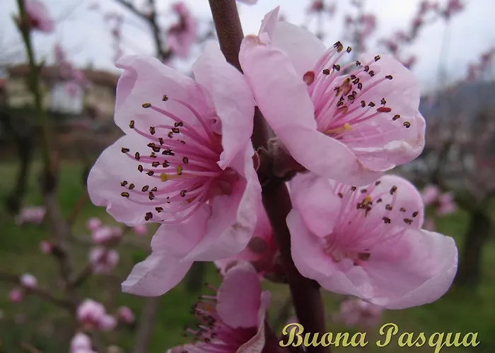 U Tej Oda ve Kahvaltı