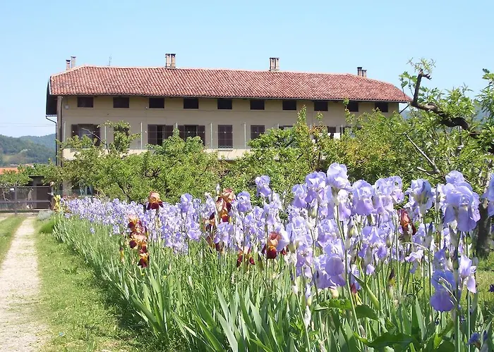 Oda ve Kahvaltı U Tej