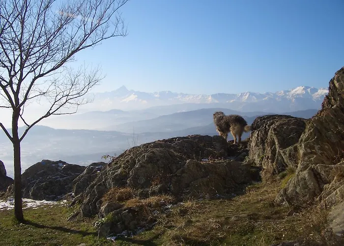 Oda ve Kahvaltı U Tej Cumiana