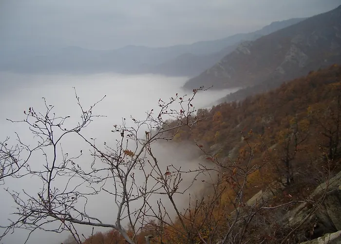 住宿加早餐酒店 U Tej