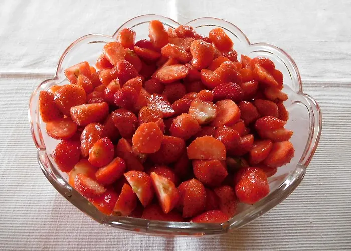 住宿加早餐酒店 U Tej