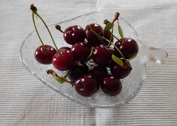 住宿加早餐酒店 U Tej 库米亚纳