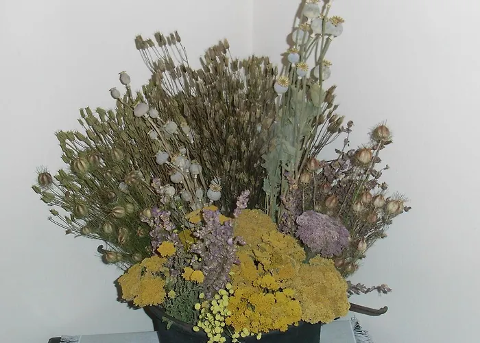 U Tej Oda ve Kahvaltı Cumiana