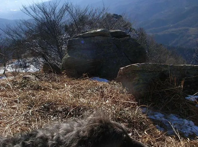 U Tej 住宿加早餐酒店